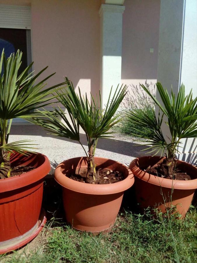 Sun Garden Apartment *