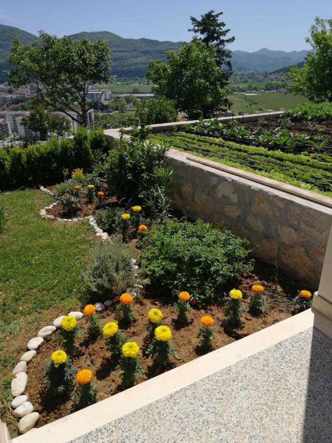 Sun Garden *