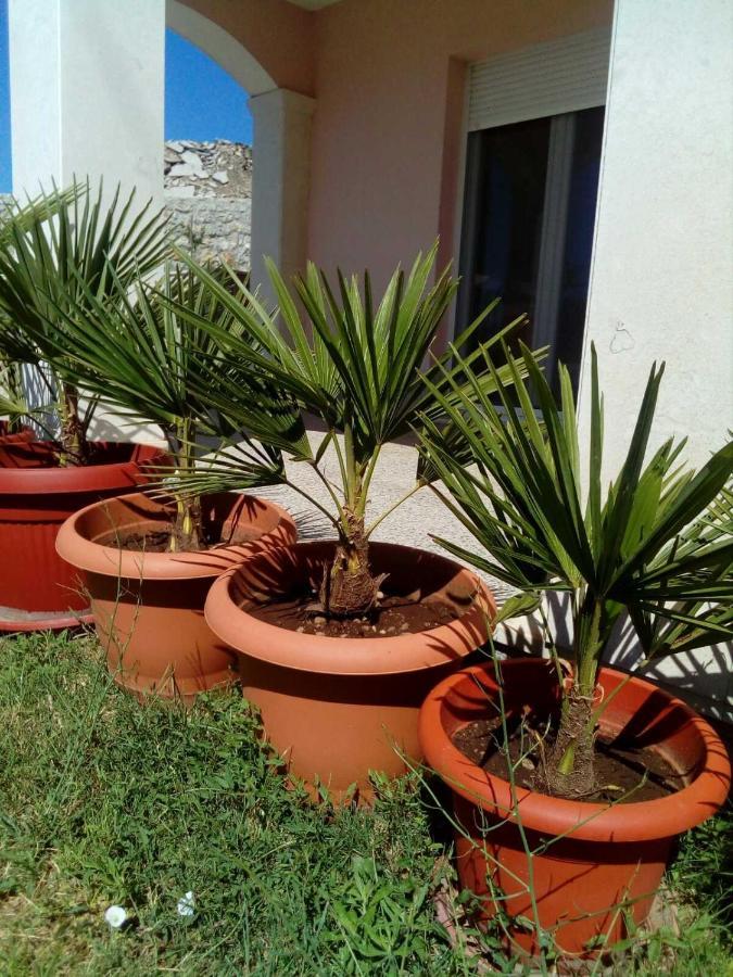 Sun Garden Apartment